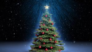 Как появилась традиция ставить елку на Новый год и Рождество?